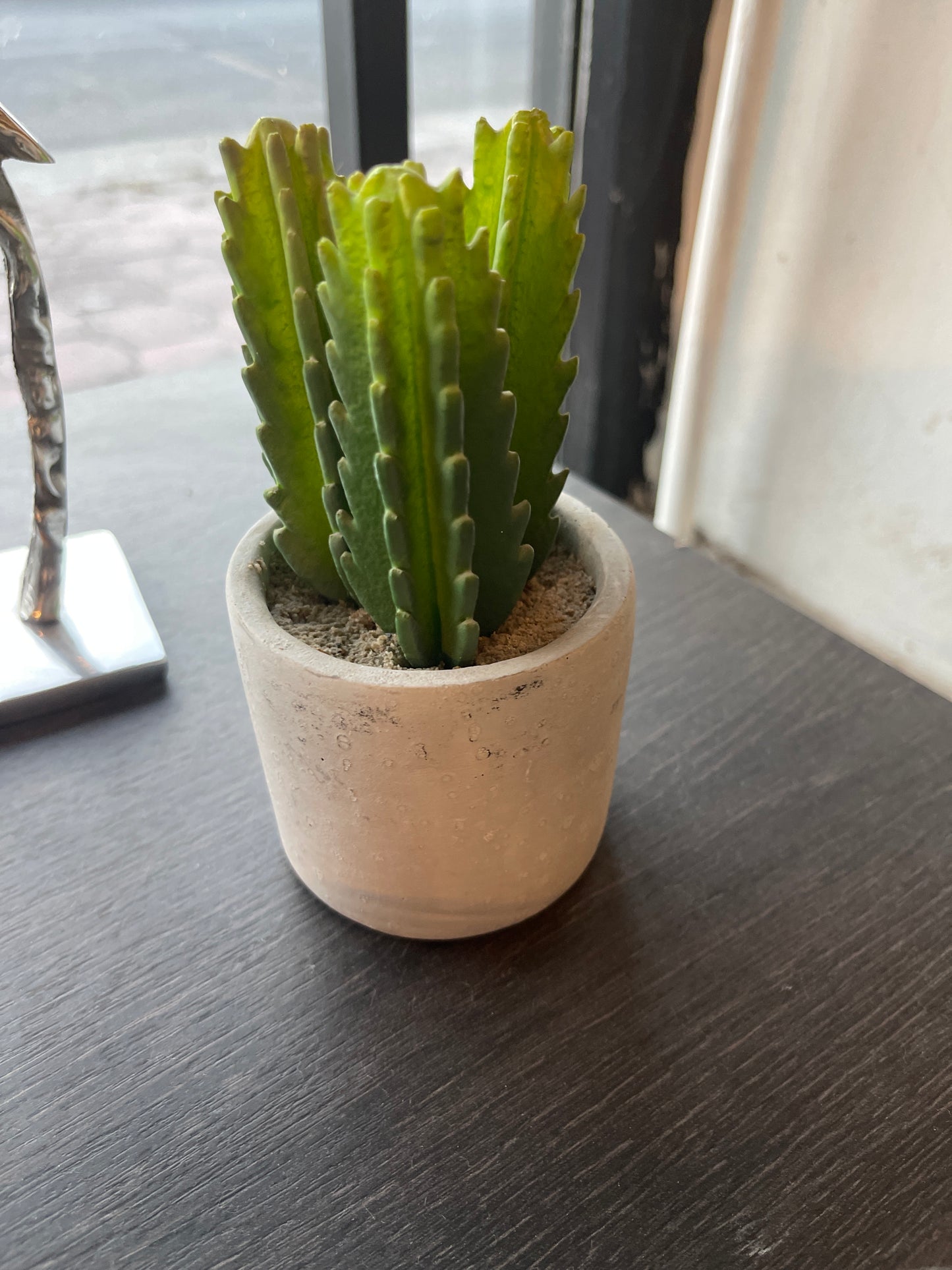 MACETA MINI CACTUS