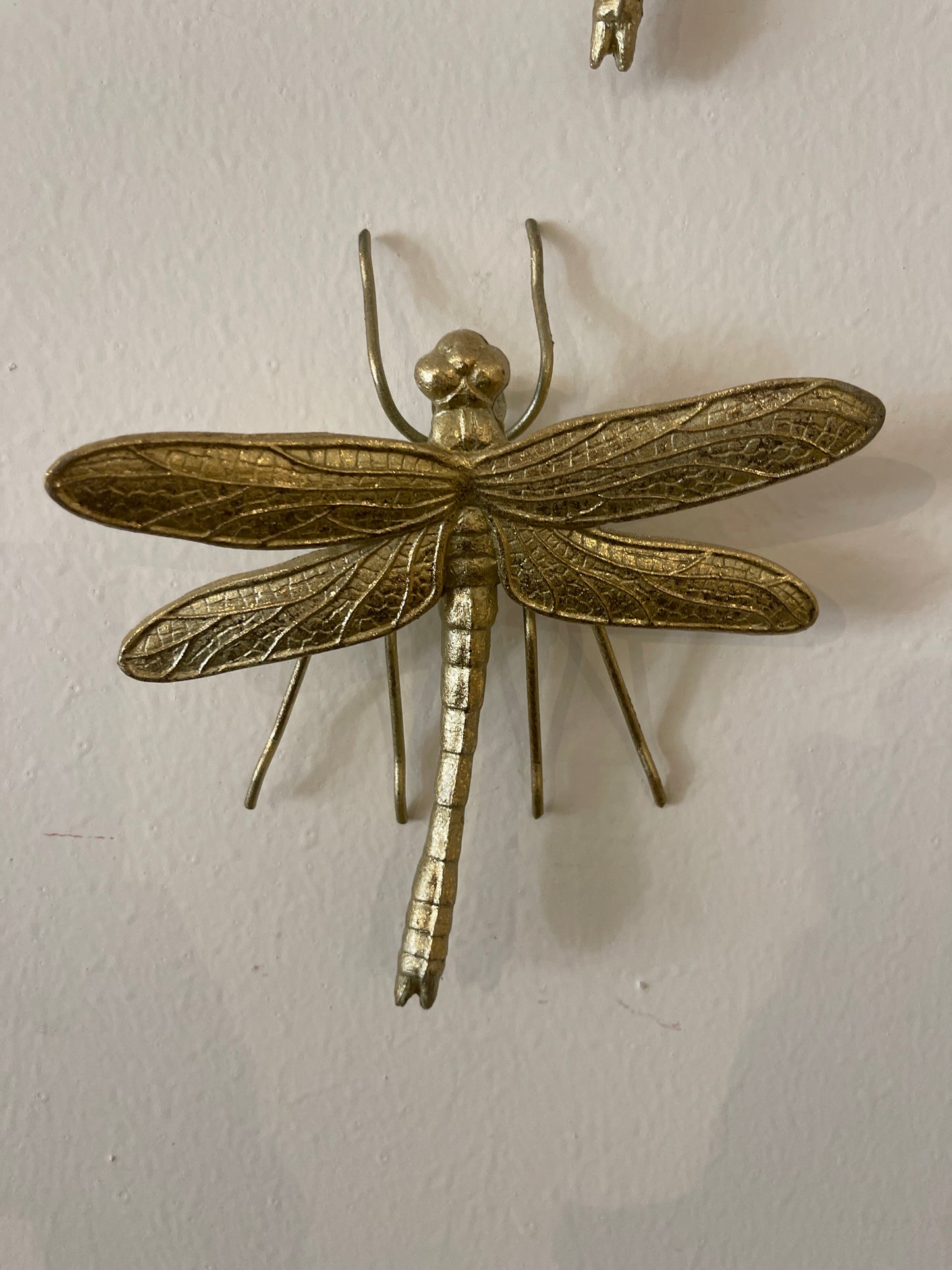 LUBELULA CH