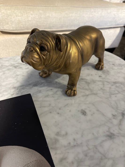 perro bulldog