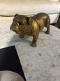 perro bulldog