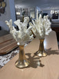 Set Figuras del mar Coral