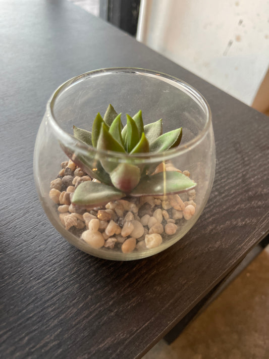 MACETA MINI