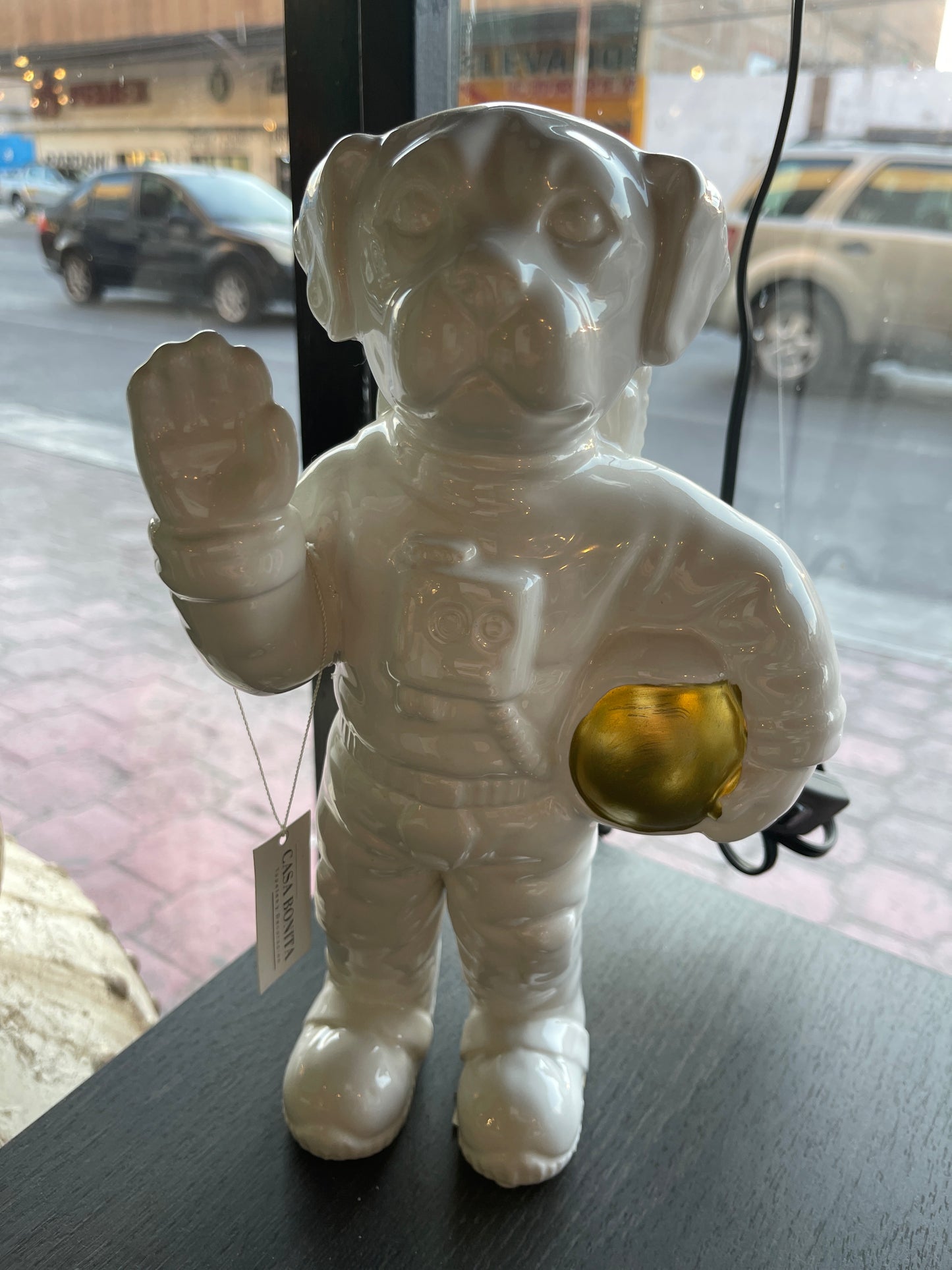 PERRO ASTRONAUTA