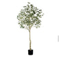 árbol eucalipto 210 cm