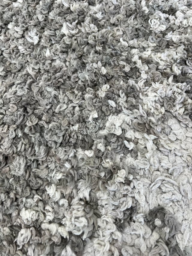 GRAY FÉNIX