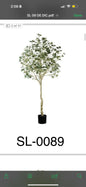 Arbol Eucalipto 210cms