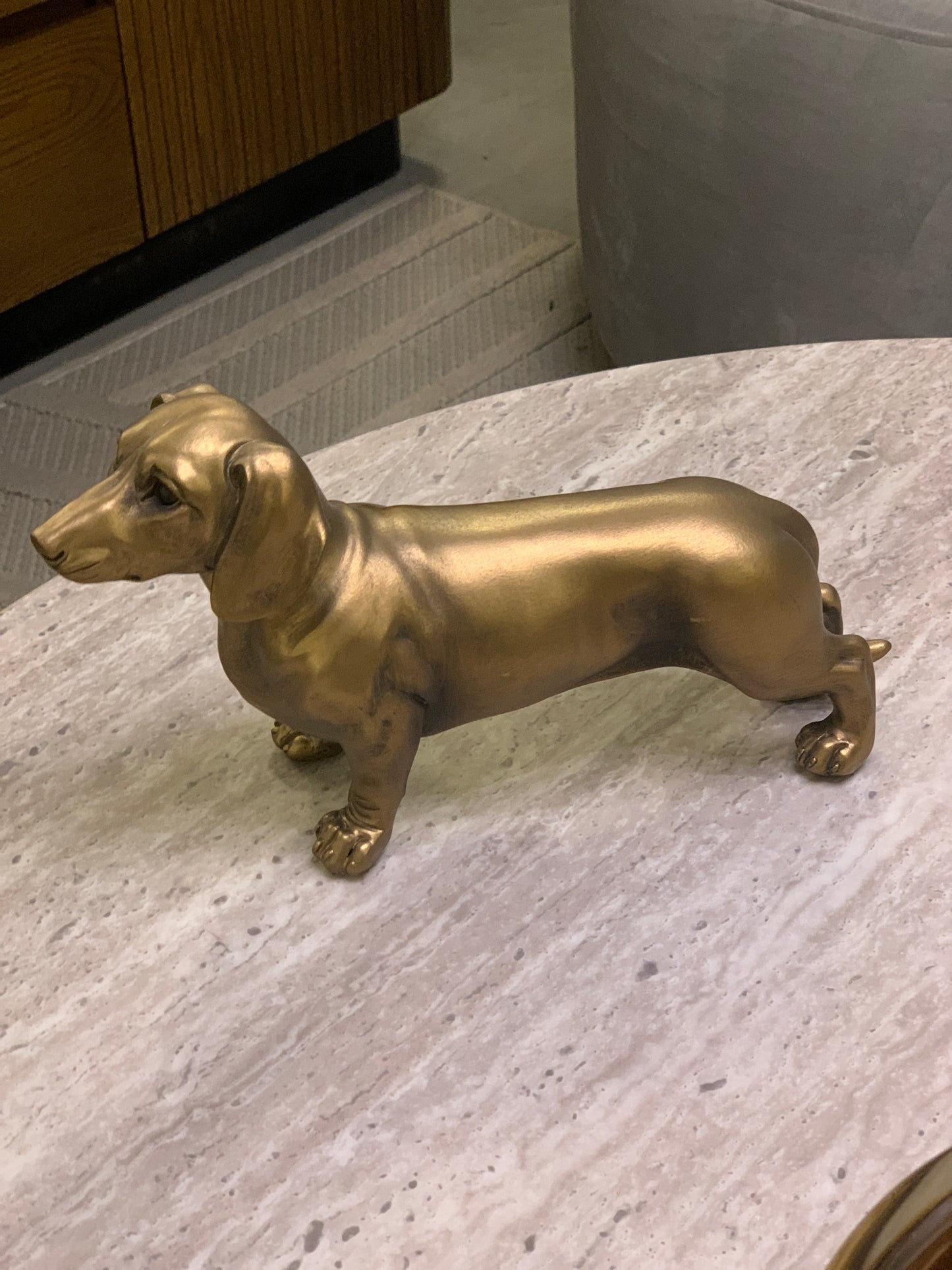 Perro Salchicha