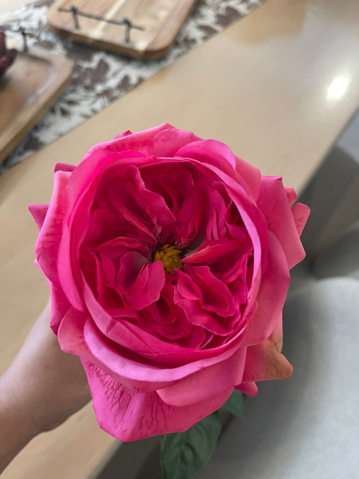 ROSA COLOR ROSA